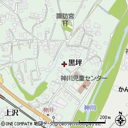 長野県上田市国分584-1周辺の地図