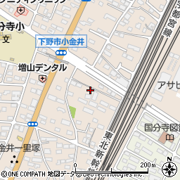 栃木県下野市小金井101周辺の地図