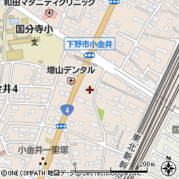 栃木県下野市小金井3007周辺の地図