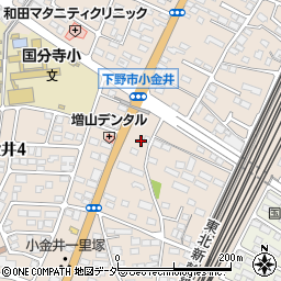 栃木県下野市小金井3005-2周辺の地図