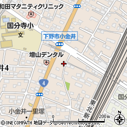 栃木県下野市小金井3005-1周辺の地図