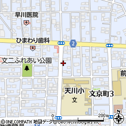 前橋調剤薬局文京周辺の地図