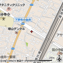 栃木県下野市小金井98-7周辺の地図