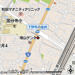栃木県下野市小金井3002-1周辺の地図