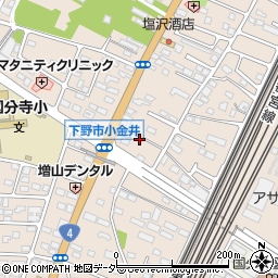 栃木県下野市小金井2996-1周辺の地図