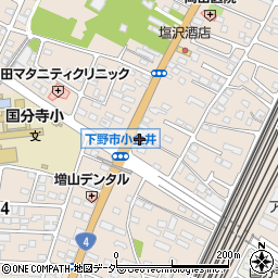 栃木県下野市小金井2995周辺の地図