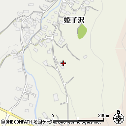長野県東御市姫子沢2915周辺の地図