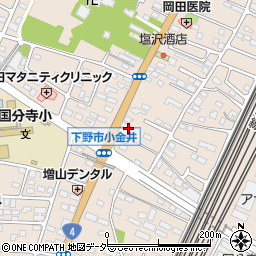 栃木県下野市小金井2994周辺の地図