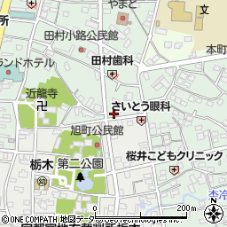 栃木県栃木市万町25-20周辺の地図