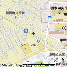 栃木県栃木市祝町11-8周辺の地図