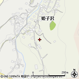 長野県東御市姫子沢2916周辺の地図