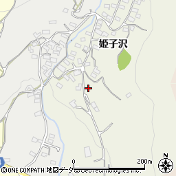 長野県東御市姫子沢2917周辺の地図