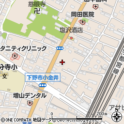 栃木県下野市小金井89周辺の地図