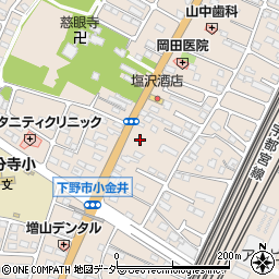 栃木県下野市小金井2989周辺の地図