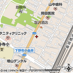 栃木県下野市小金井2989-2周辺の地図