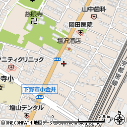 栃木県下野市小金井2988周辺の地図