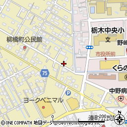 栃木県栃木市祝町12-4周辺の地図