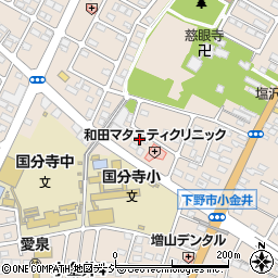 栃木県下野市小金井1丁目30周辺の地図