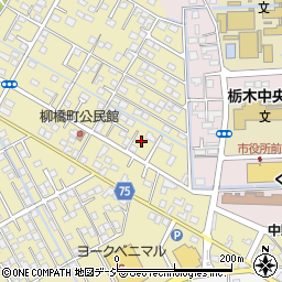 栃木県栃木市祝町12周辺の地図