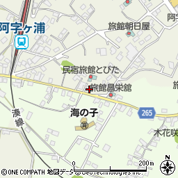 茨城県ひたちなか市阿字ケ浦町172-12周辺の地図
