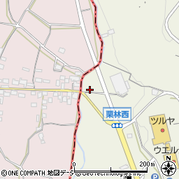 長野県東御市栗林3695周辺の地図