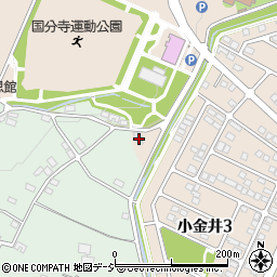 栃木県下野市小金井259周辺の地図
