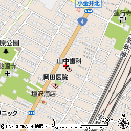 栃木県下野市小金井2965周辺の地図