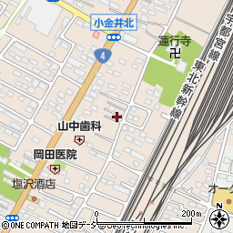 栃木県下野市小金井2958-1周辺の地図