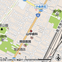 栃木県下野市小金井2961周辺の地図