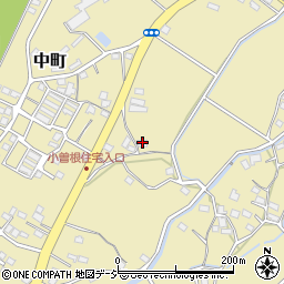 栃木県佐野市中町1044周辺の地図