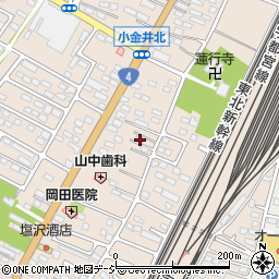 栃木県下野市小金井2955周辺の地図