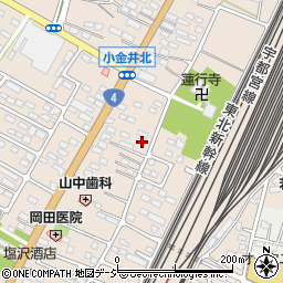 栃木県下野市小金井2950周辺の地図