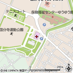 栃木県下野市小金井277-2周辺の地図