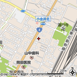 栃木県下野市小金井2949周辺の地図
