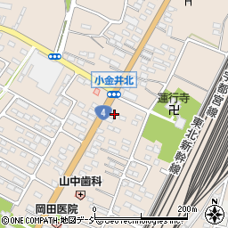 栃木県下野市小金井2941周辺の地図