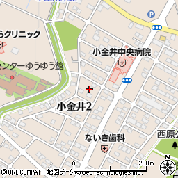 栃木県下野市小金井2丁目10周辺の地図