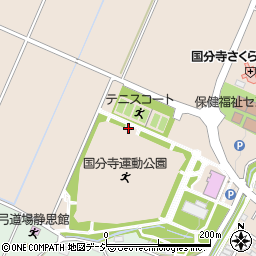栃木県下野市小金井304-2周辺の地図