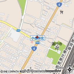 栃木県下野市小金井2867-2周辺の地図