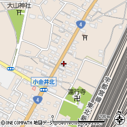 栃木県下野市小金井2920周辺の地図