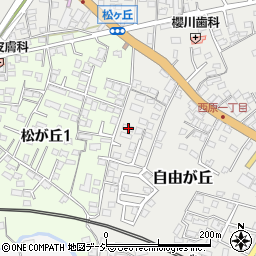 茨城県水戸市自由が丘5-24周辺の地図