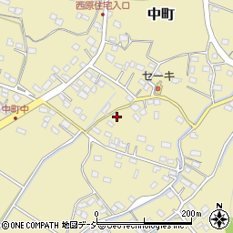 栃木県佐野市中町979周辺の地図