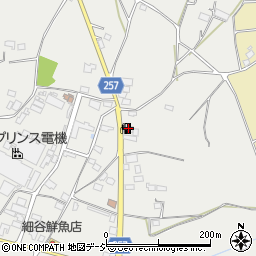 ＥＮＥＯＳ岩瀬南飯田ＳＳ周辺の地図