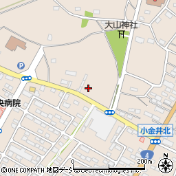 栃木県下野市小金井1147-8周辺の地図