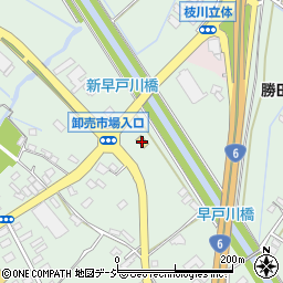 ファミリーマートひたちなか枝川店周辺の地図