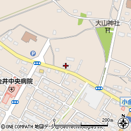 栃木県下野市小金井1146周辺の地図