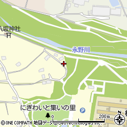 栃木県栃木市岩出町173周辺の地図