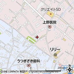 茨城県水戸市中丸町293周辺の地図