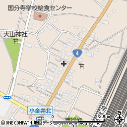 栃木県下野市小金井2890-1周辺の地図