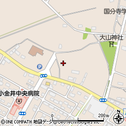 栃木県下野市小金井1124周辺の地図