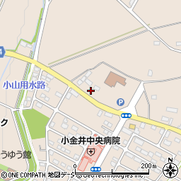 栃木県下野市小金井1136周辺の地図